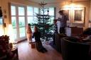 Vi pynter juletr&aelig;
