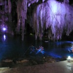 P1070849 Badning i Cenote Dzitnup